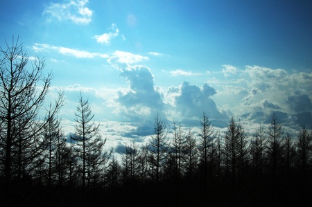 Close to the skyの写真素材