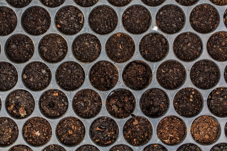 Nursery planting seedlingsの写真素材