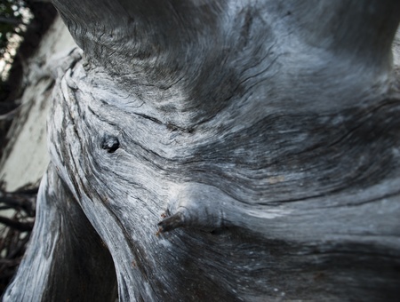 Texturesの写真素材