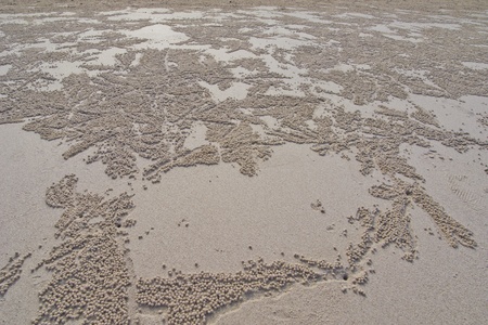Sandの写真素材