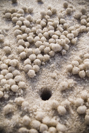 Sand の写真素材