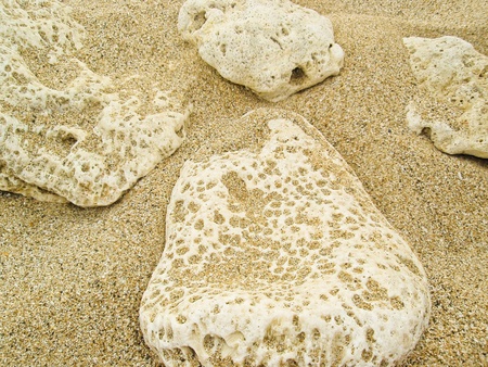 Sand rock on the beach