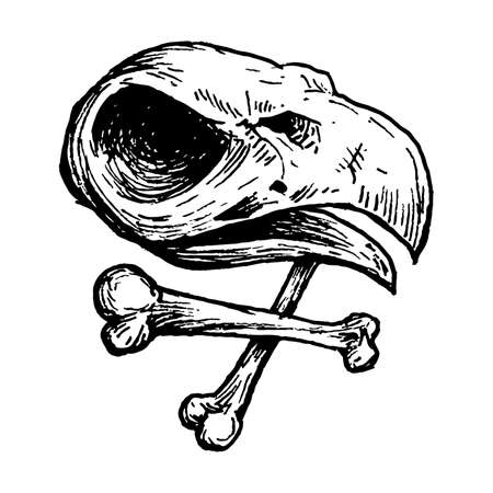 Black and white vintage etched art. Ink drawn ghotic clipart for sticker, tattoo, print. Bird skull with crossbones and big beak. Remains of dead raven, eagle, hawk or vulture. Science anthropology.のイラスト素材