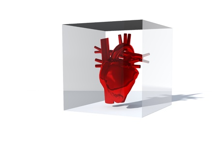 the red heart in the glass boxの写真素材