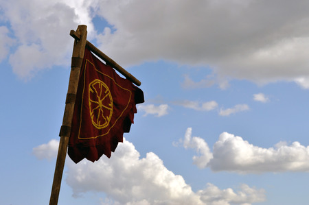 Flag of the Vikings Flag of the Vikings