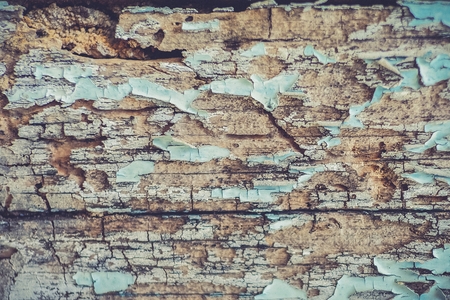 Old wood Texture, Background, close upの写真素材