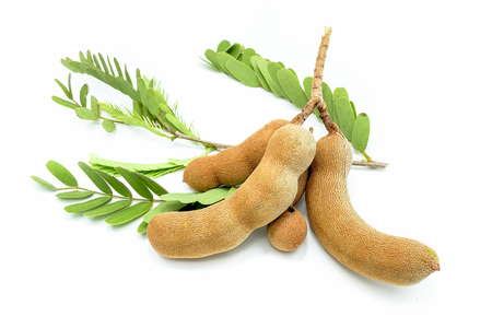 Tamarind, isolated on a white backgroundの写真素材