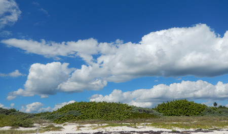 Cloudy skies over an undeveloped, pristine Caribbean beach with wild vegetation and greenery at the Atlantic ocean in Mexicoの写真素材