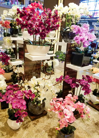 Display of multicolored orchid arrangements in pink, violet, red and white.のeditorial素材