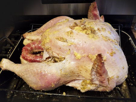 A raw turkey stuffed with a mixture, resting in a roasting pan. The turkey has a light seasoning on its skin and is prepared for cooking. The background shows a kitchen setting with a stove.の写真素材