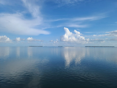 A Florida Everglades seascape with calm waters reflecting the blue sky and scattered clouds, with small islands visible on the horizon.の写真素材