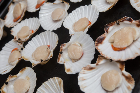 Fresh opened scallop on white backgroundの写真素材