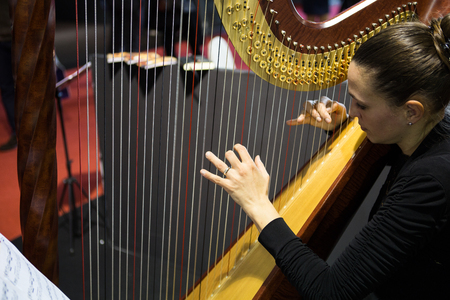 ITALY, Friuli Venezia Giulia, Udine 13 January 2017 / Silhouette of elegant woman in dress playing the harp, at the weddingのeditorial素材