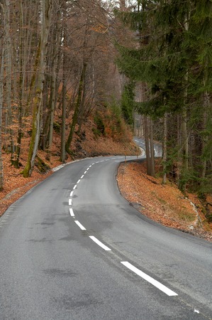 twisting road to a woodの写真素材