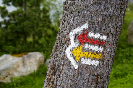 Hiking tourist trail sign on the tree as arrow indicating the direction of travelの写真素材