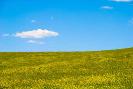 Landscape with flowers in spring time in Andalusia, Spain.の写真素材
