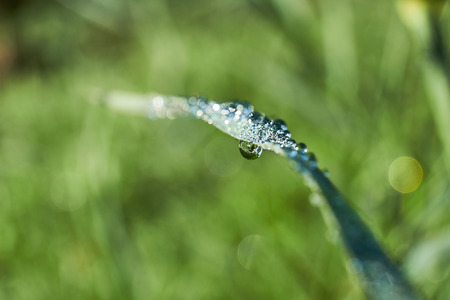 Macro shot of morning dew on a straw of grass, focusing on a drop of water.の写真素材