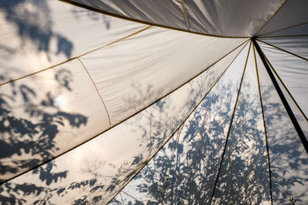 Big canvas with shadow of trees at behind
