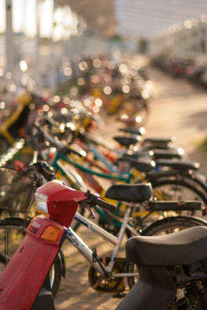 Motorbike and bicycles parking besides universityの写真素材