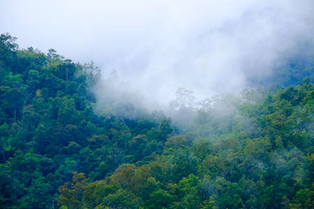 Morning mist with mountain range and trees in Pai district, Mae Hong Sorn province, north of Thailandの写真素材