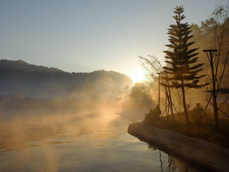 Morning light shining through the trees with mountain backgroundの写真素材
