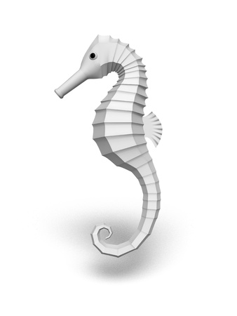 sea horseの写真素材