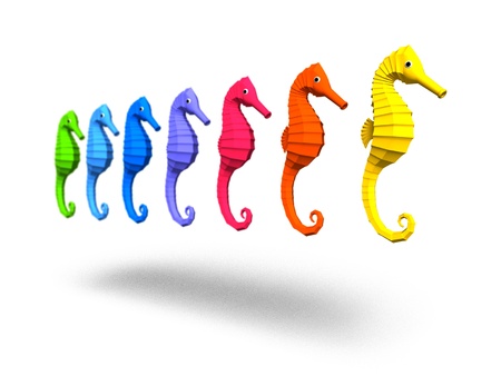 sea horseの写真素材