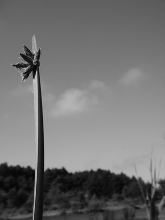 Background material of an outdoor liminal place, black and white photography.の写真素材