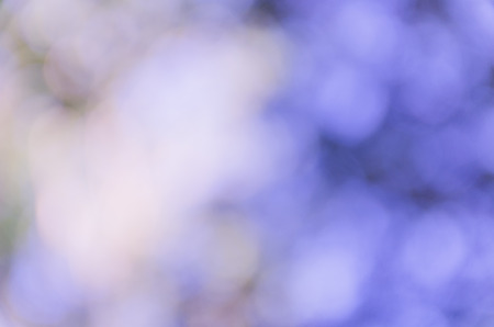 Beautiful bokeh derive from nature blurred use as background