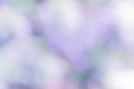 Beautiful bokeh background from the natureの写真素材