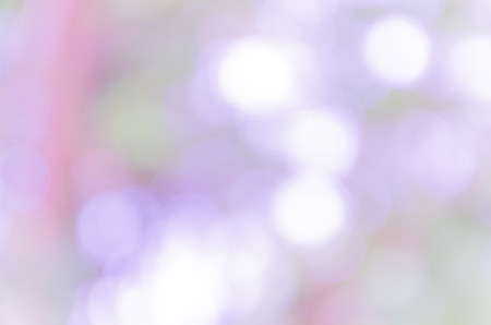 Beautiful colorful bokeh background from the natureの写真素材
