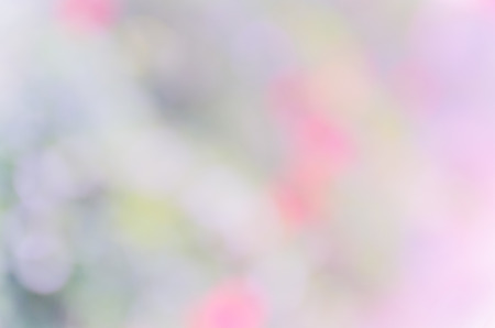 Beautiful bokeh background from the natureの写真素材