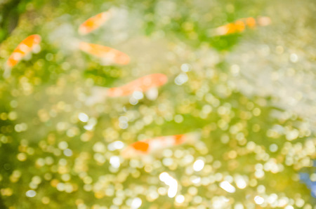 Blure background in modern lifeの写真素材