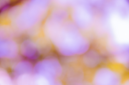 background with abstract blurred foliage and bright summer sunlight for your text or advertismentの写真素材