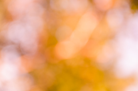 orange bokeh background from nature under tree shadeの写真素材