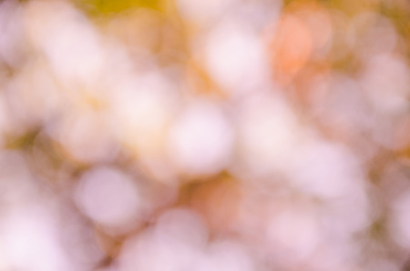 orange bokeh background from nature under tree shadeの写真素材