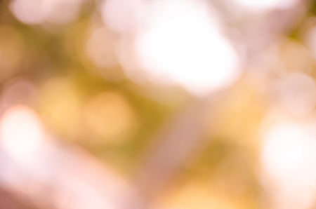 orange bokeh background from nature under tree shadeの写真素材