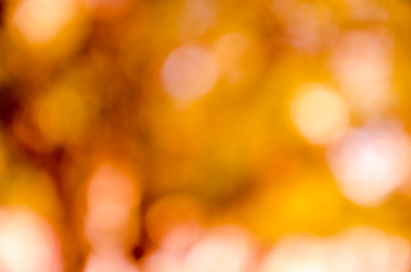 bokeh background from nature under tree shadeの写真素材