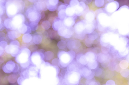 bokeh background with abstract blurred foliage and bright summer sunlightの写真素材