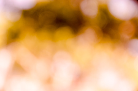 bokeh background from nature under tree shadeの写真素材