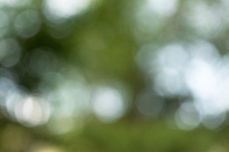 green bokeh abstract light backgroundの写真素材