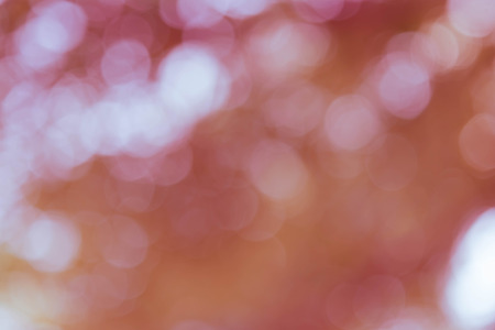 red bokeh background from nature under tree shadeの写真素材