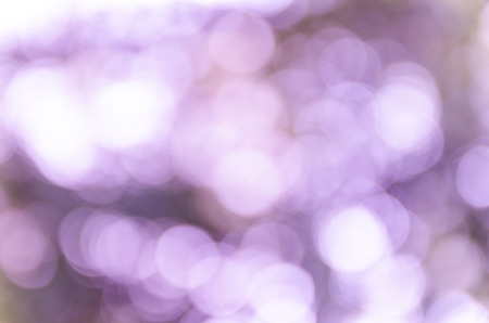 Violet abstract bokeh background from nature environmentの写真素材