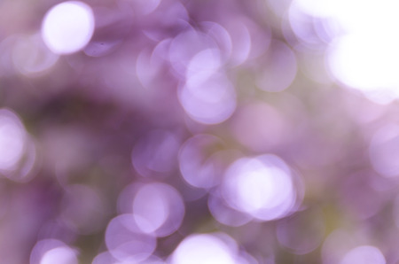 bokeh background with abstract blurred foliage and bright summer sunlight