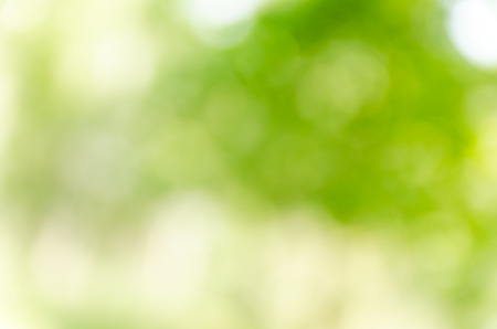green bokeh abstract light backgroundの写真素材