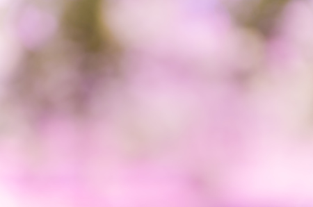 bokeh background with abstract blurred foliage and bright summer sunlightの写真素材