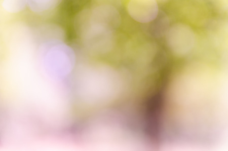 Violet abstract bokeh background from nature environment