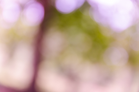 Violet abstract bokeh background from nature environmentの写真素材