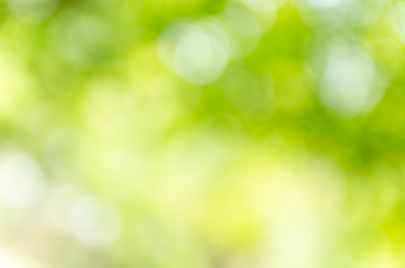 green bokeh abstract light backgroundの写真素材