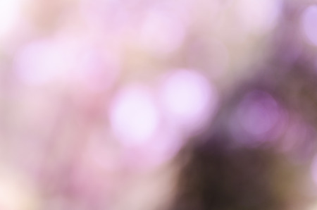Violet abstract bokeh background from nature environmentの写真素材